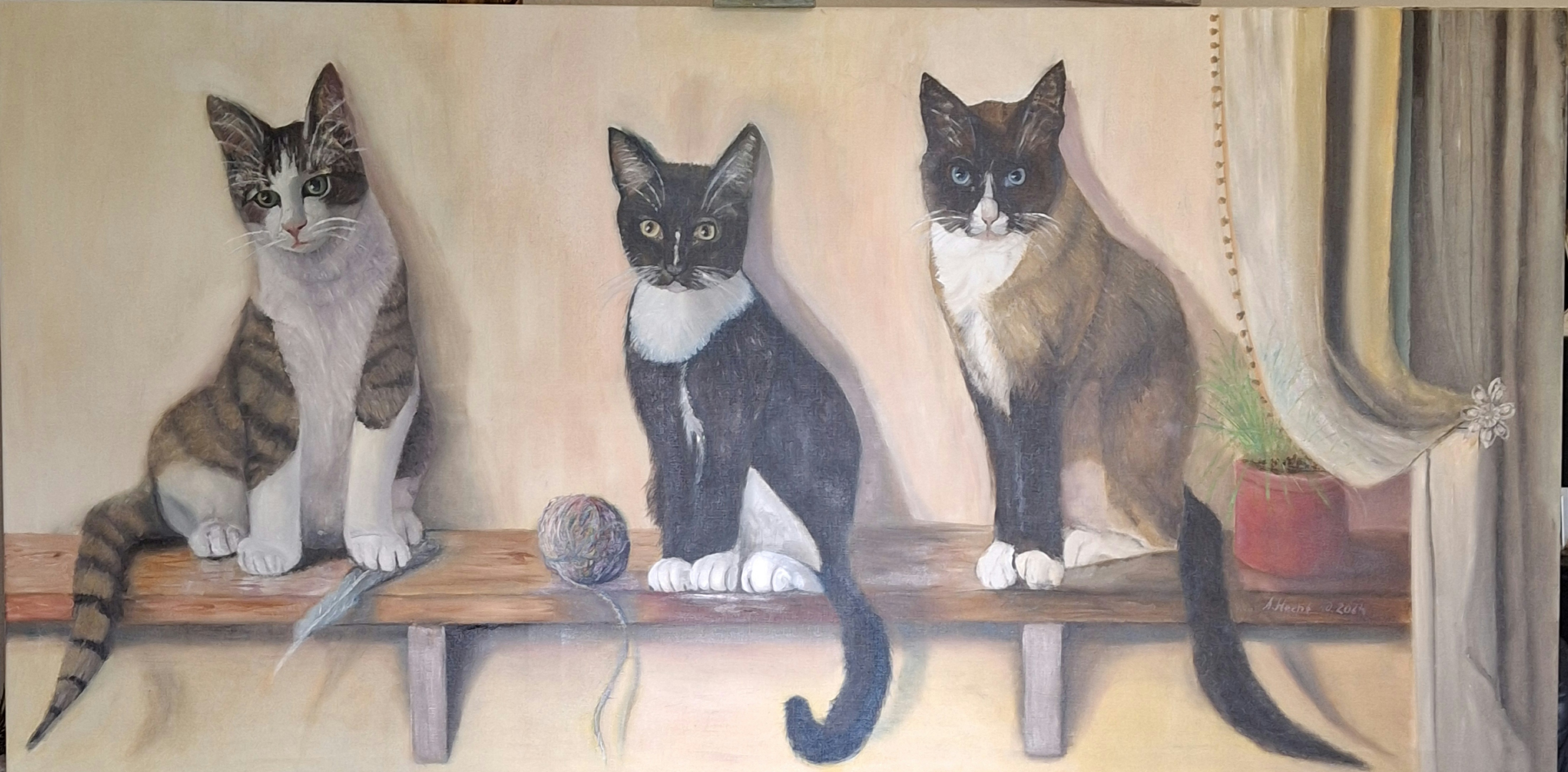 dreikatzen